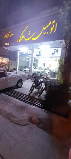 عکس اتومبیل شاهکار