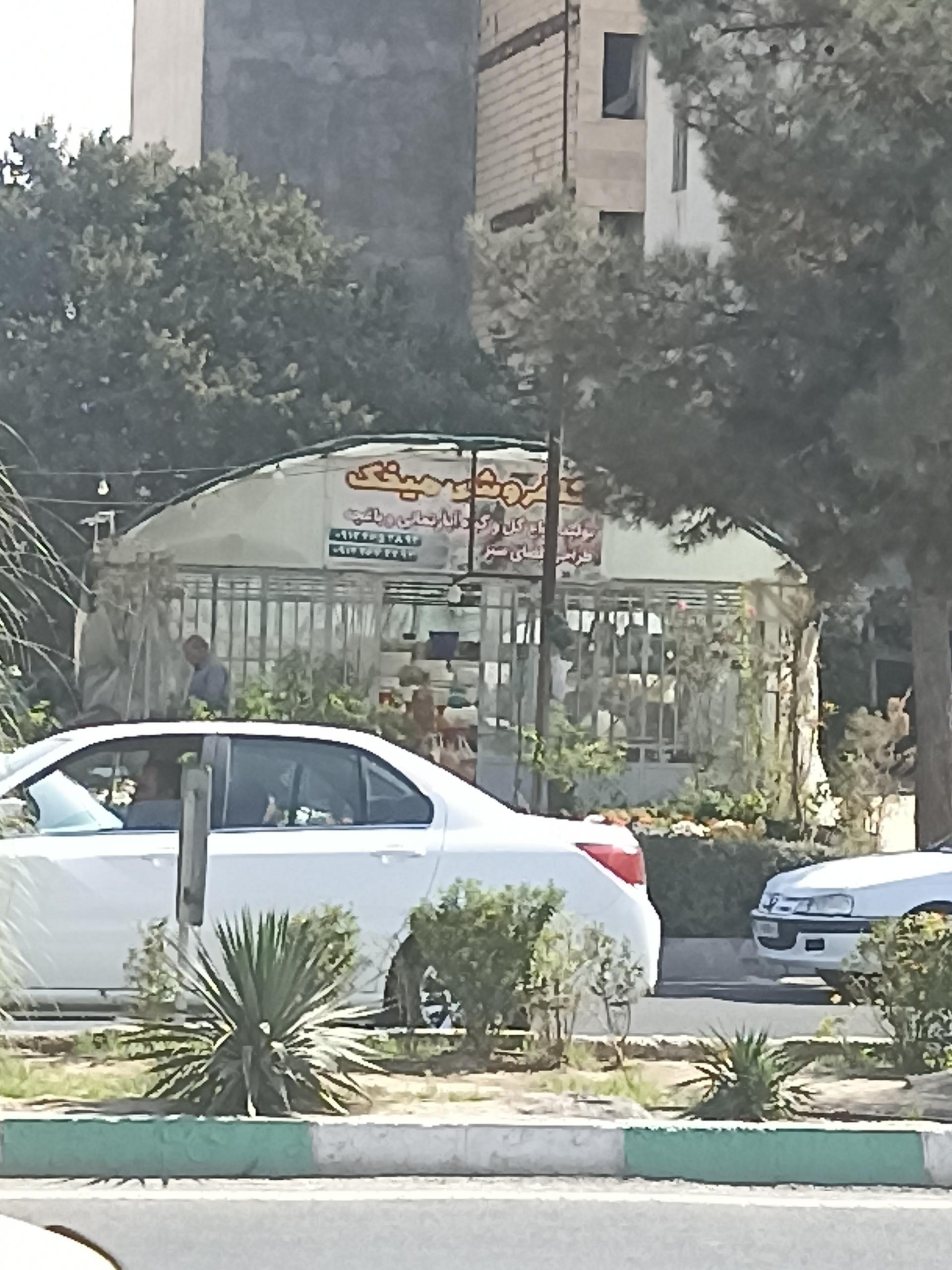 عکس گل فروشی میخک