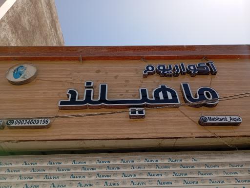 عکس ماهی تزئینی و لوازم آکواریوم ماهیلند