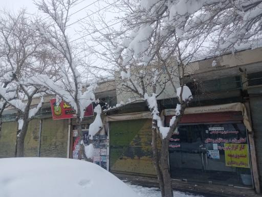 عکس بیمه روستایی زنجان کارگزاری 63025