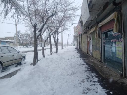 عکس بیمه روستایی زنجان کارگزاری 63025