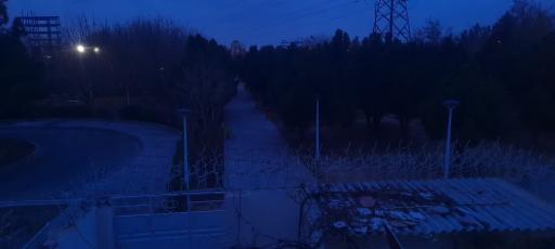 عکس بوستان شاهد