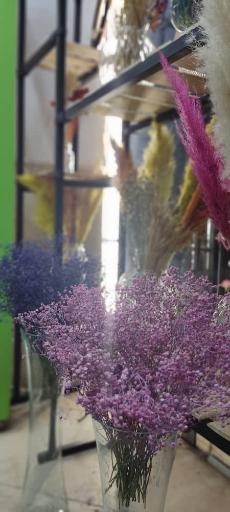 عکس گلسرای لاله