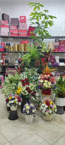 عکس گلسرای لاله