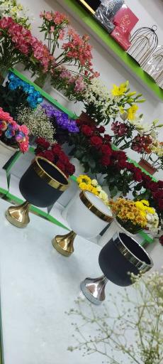 عکس گلسرای لاله