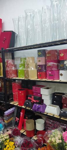 عکس گلسرای لاله