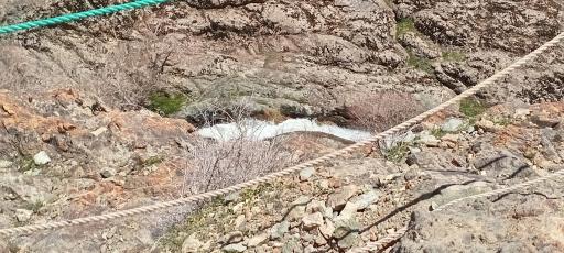 عکس پلنگ چال