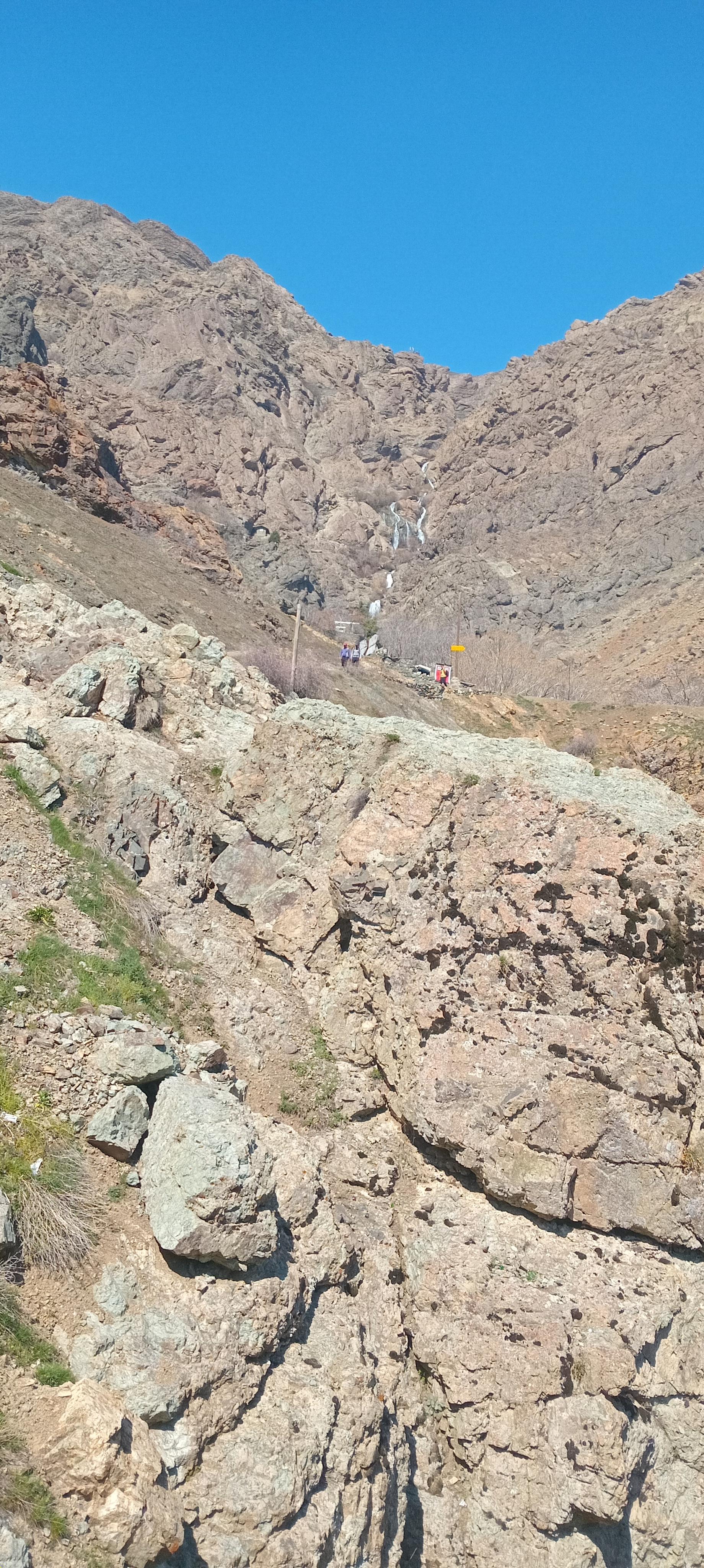 عکس پلنگ چال