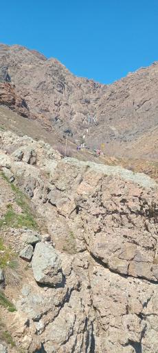 عکس پلنگ چال