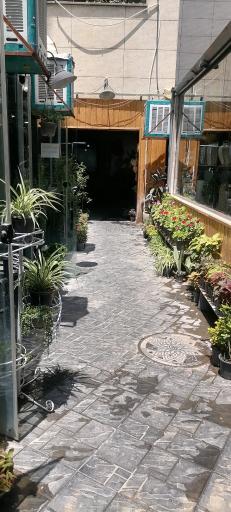 عکس بازار گل اکباتان