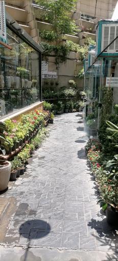 عکس بازار گل اکباتان