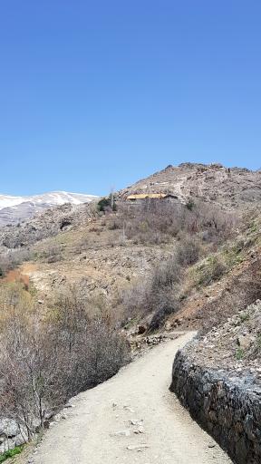 عکس پلنگ چال