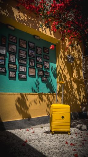 عکس اقامتگاه سنتی همنشین