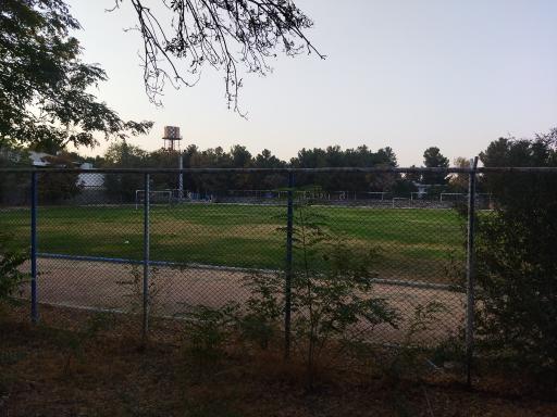 عکس زمین ورزش پردیس شهید بهشتی