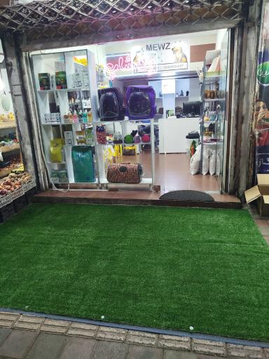 عکس پت شاپ میوز 