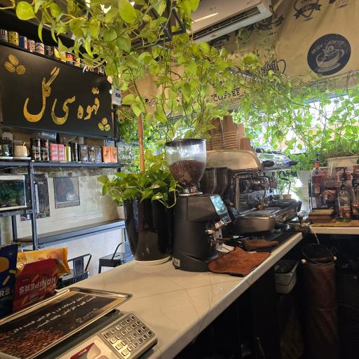 عکس قهوه سی‌گل