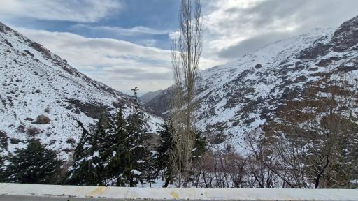 عکس پلنگ چال