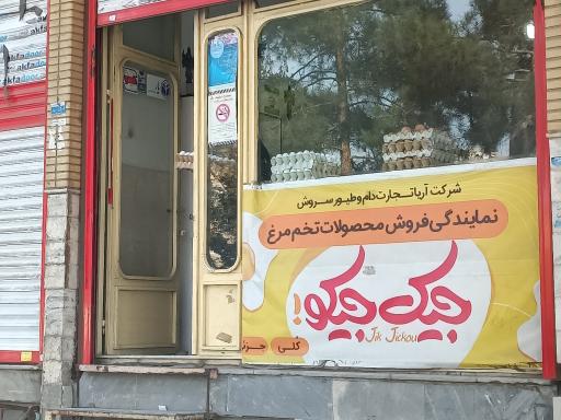 عکس پخش تخم مرغ جیک جیکو