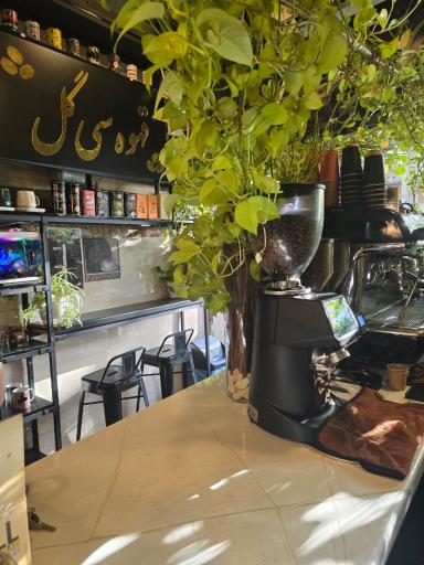 عکس قهوه سی‌گل