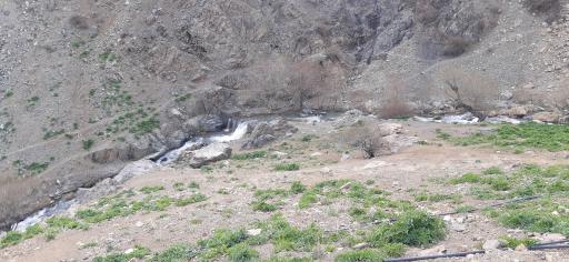 عکس پلنگ چال