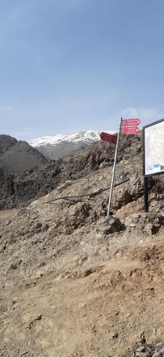 عکس پلنگ چال