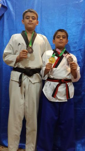 عکس خانه تکواندو صفاشهر