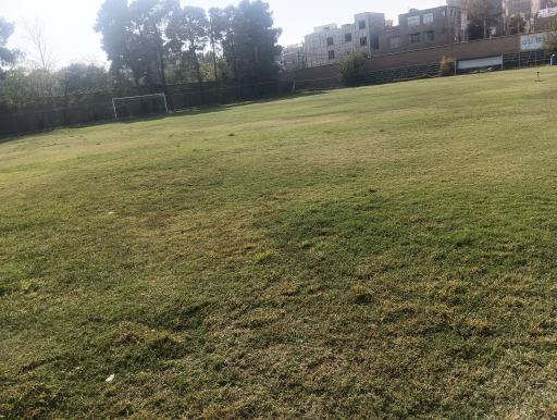 عکس مجموعه ورزشی صدری