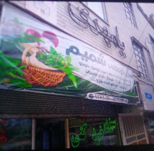 عکس سبزی خردکنی شمیم