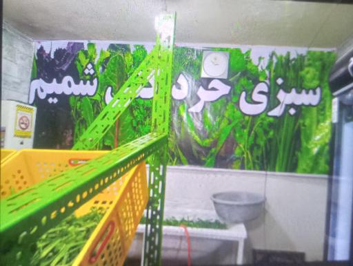 عکس سبزی خردکنی شمیم