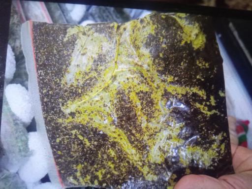 عکس سبزی خردکنی شمیم