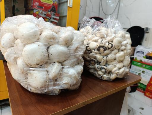 عکس پخش رطب و خرمای علوی