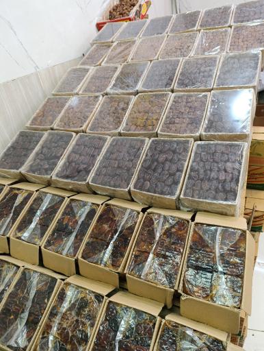 عکس پخش رطب و خرمای علوی