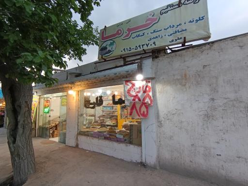 عکس پخش رطب و خرمای علوی