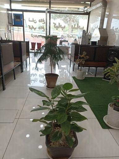 عکس بناب کبابی نگین آذرشهر