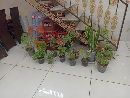 عکس بناب کبابی نگین آذرشهر