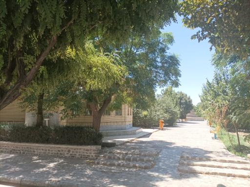 عکس پارک باغ گل