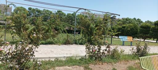 عکس پارک باغ گل