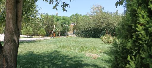 عکس پارک باغ گل