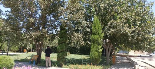 عکس پارک باغ گل