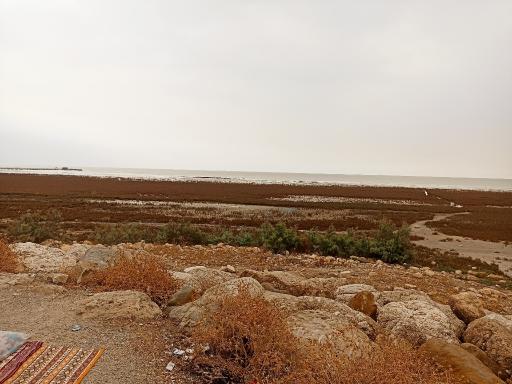 عکس پارک بچه
