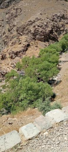 عکس منطقه تفریحی و کوهنوردی دارآباد