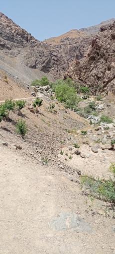 عکس منطقه تفریحی و کوهنوردی دارآباد