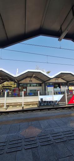 عکس پارک ملت