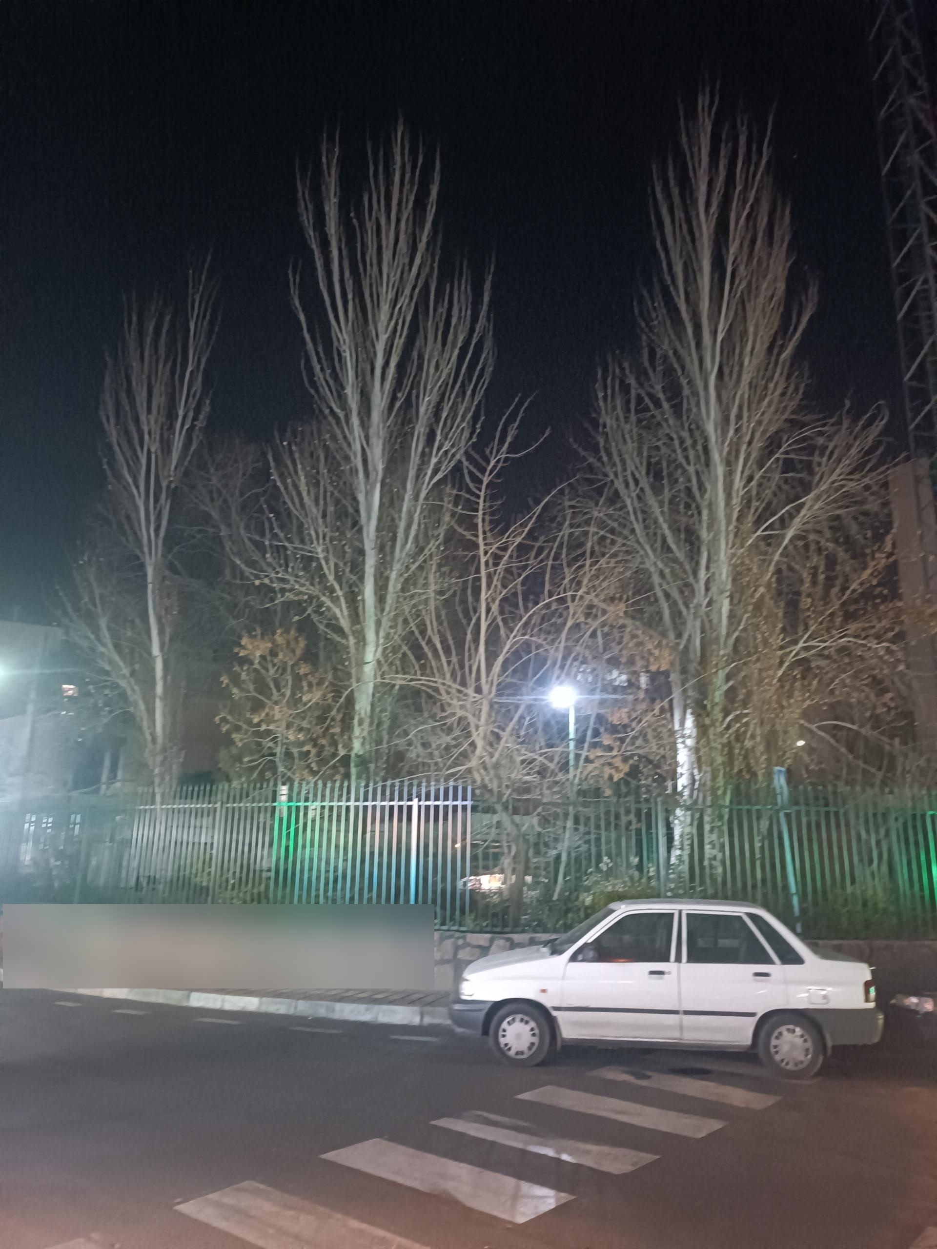 عکس میدان باغچه بیدی