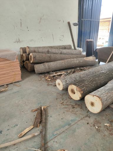 عکس کارخانه روکش زنی چوب قربان زاده