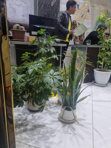 عکس املاک کلبه سبز