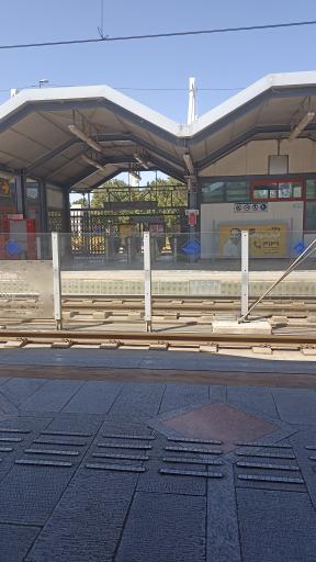 عکس پارک ملت