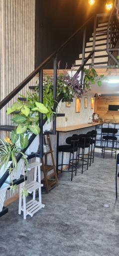 عکس کافه خونه