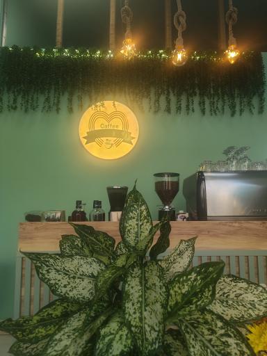 عکس کافه من و تو 