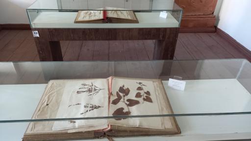 عکس دبیرستان موزه حکیم نظامی آستارا